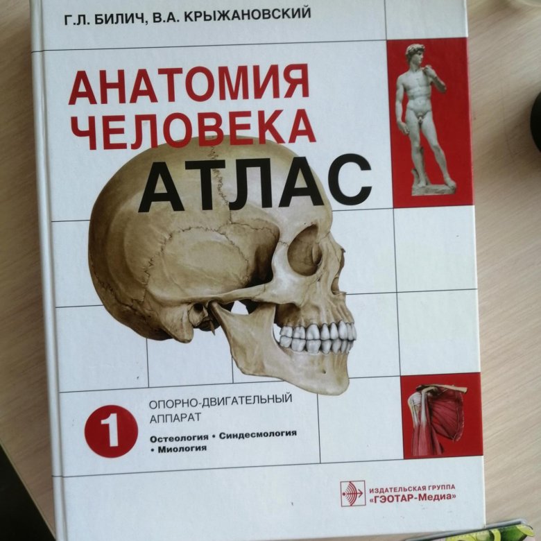 Атлас анатомия билич крыжановский. Атлас Билич Крыжановский том 1. Билич г.л анатомия человека. Атлас Билича по анатомии 1 том. Атлас Билич Крыжановский.