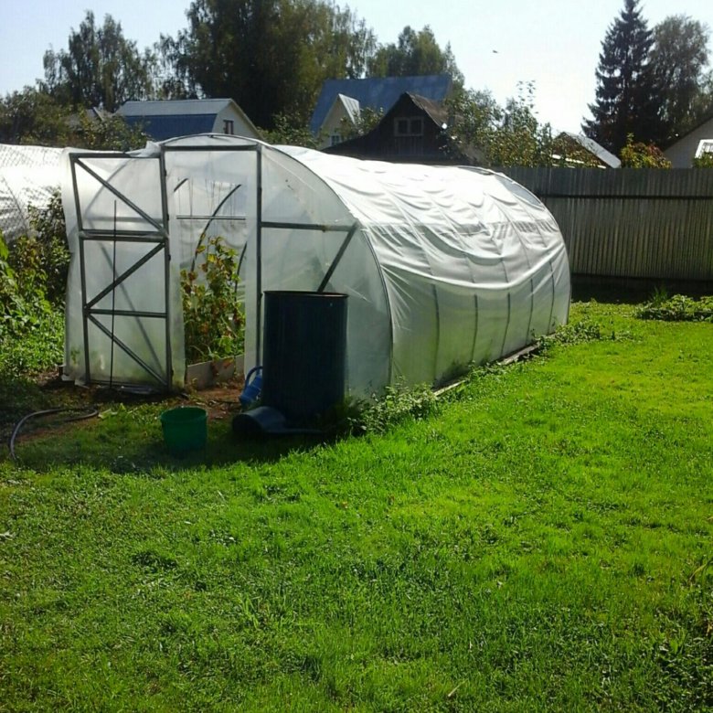 Парник – купить в Москве, цена 2 500 руб., продано 4 декабря 2019 – Сад ...