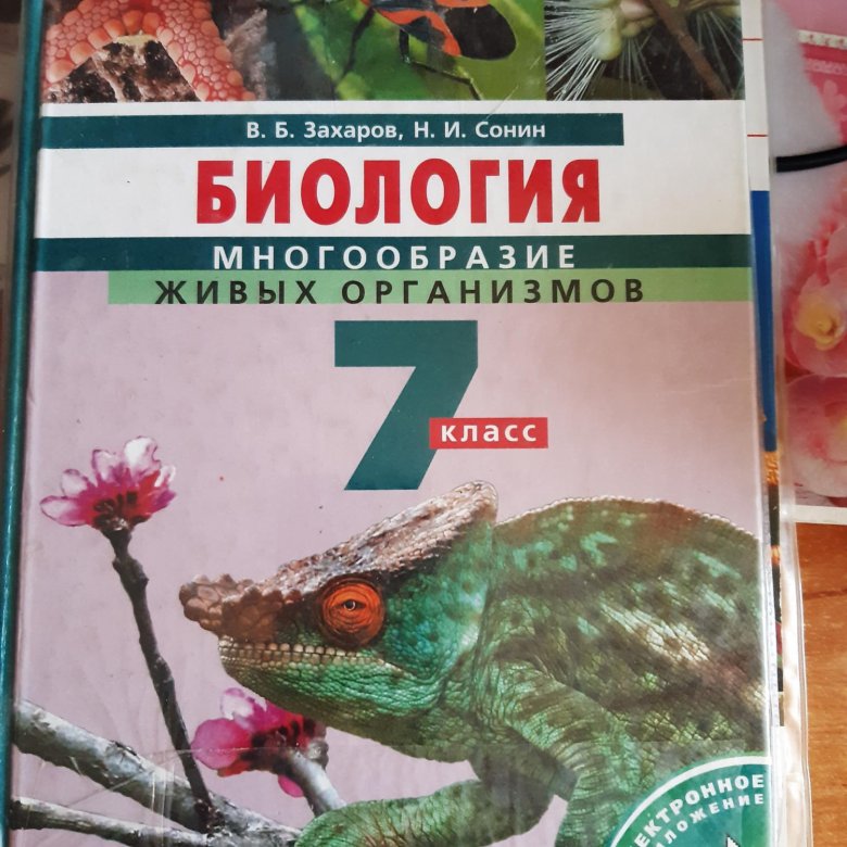 Учебники 7 Класс Купить В Интернет Магазине