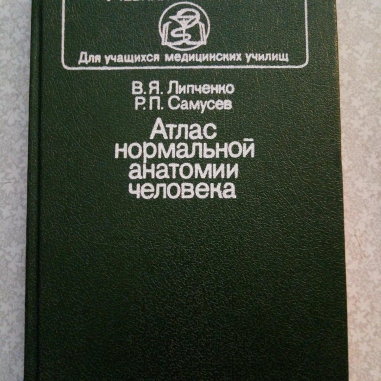 Атлас нормальной анатомии. Атлас нормальной анатомии человека 1984 год. Атлас нормальной анатомии человека Самусев Липченко фото и описание.