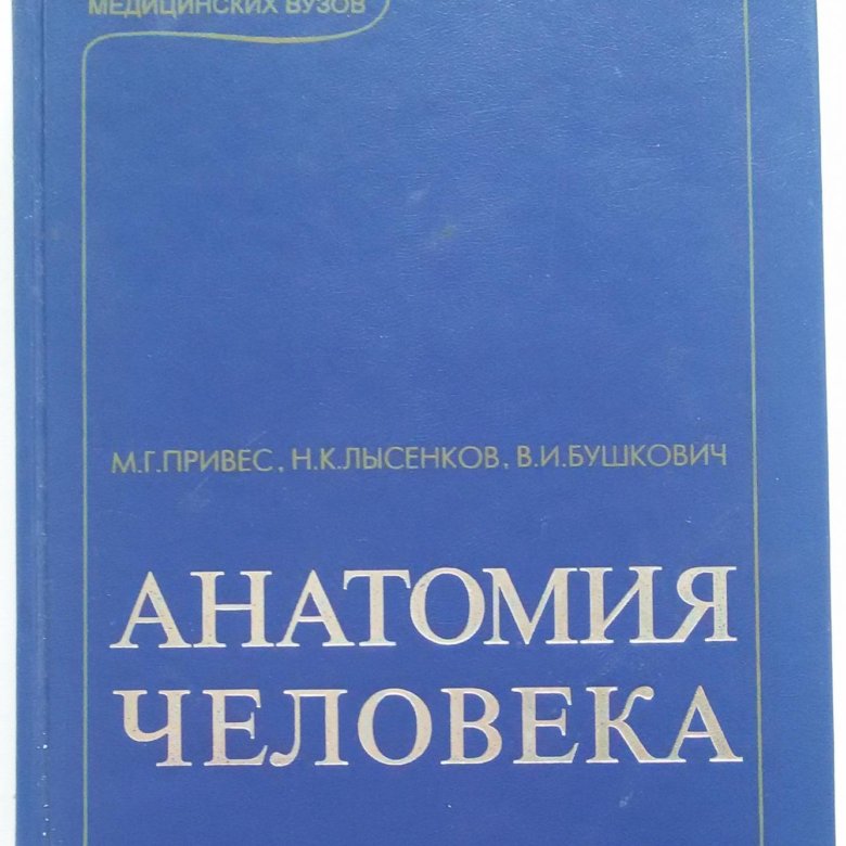 Привес анатомия. Анатомия человека привес Лысенков Бушкович. Привес атлас анатомии человека. Учебник по анатомии привес. Привес анатомия человека учебник.