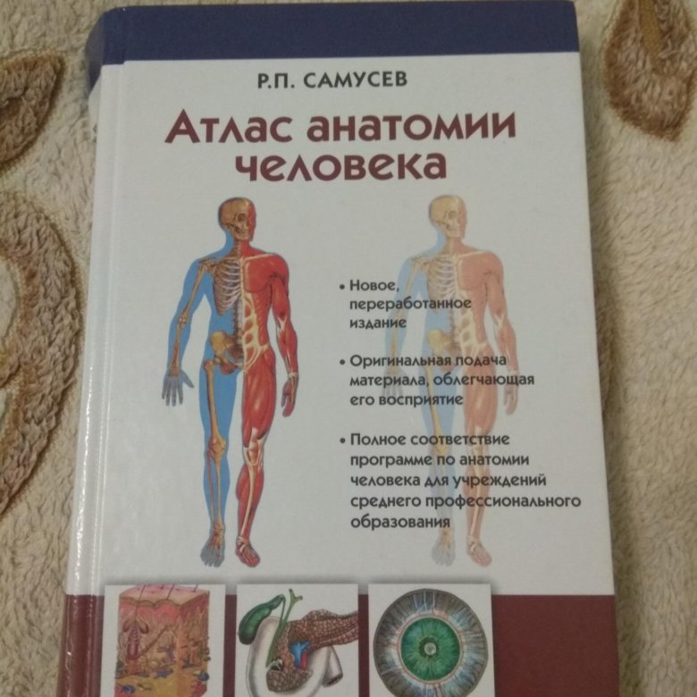 Самусев атлас анатомии. Атлас человек Самусев. Книга атлас человека Самусев. Атлас функциональной анатомии Самусев. Атлас функциональной анатомии человека Самусев Зубарева.