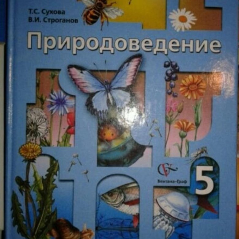 Природоведение 5 класс. Природоведение 5 класс учебник. Природоведение тетрадь 5 класс коррекционная школа 8 вида. Занимательная. Природоведение 5 класс. Природоведение 8 вид.