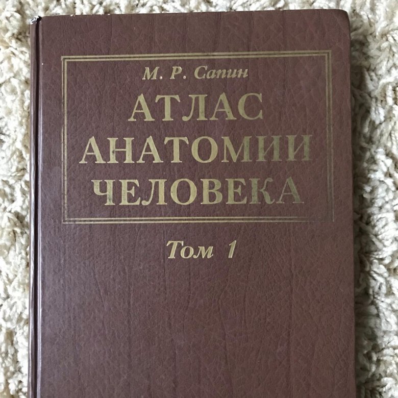 Сапин анатомия 2 том читать. Атлас анатомии человека Сапин. Сапин 1 том. Сапин 2 Тома.