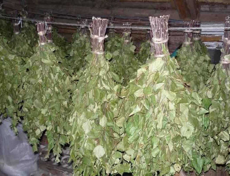 Как хранить веники зимой. Веник для бани березовый. Веник в упаковке. Веник для бани березовый. Как хранить веники зимой.