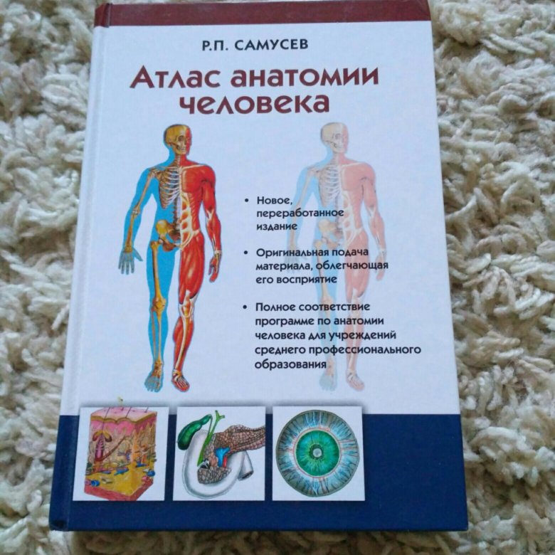 Анатомия липченко самусев. Анатомический атлас Самусев. Атлас анатомия человека р.п Самусев. Анатомия человека книга Самусев. Самусев Липченко атлас.