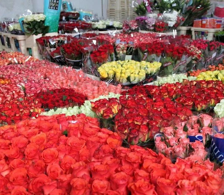 Цветы, купить розы оптом в херсоне