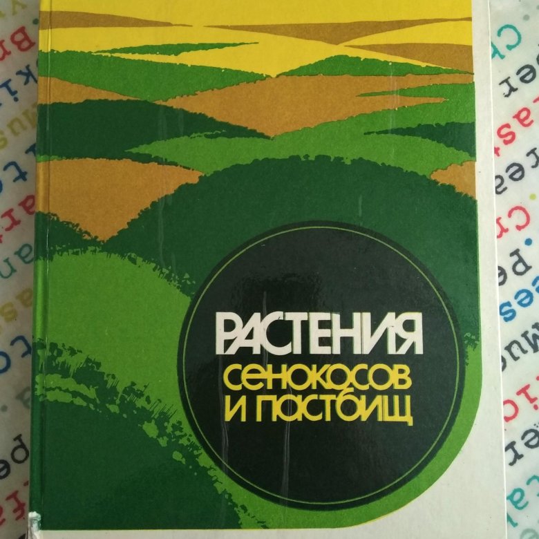 в. райграс на сено. почки возобновления. поле пшеницы. ларин и.