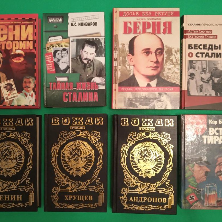 книги серии вожди. вождь диких земель игорь адамович. книги про вождей. книги про вождей. млечин л.