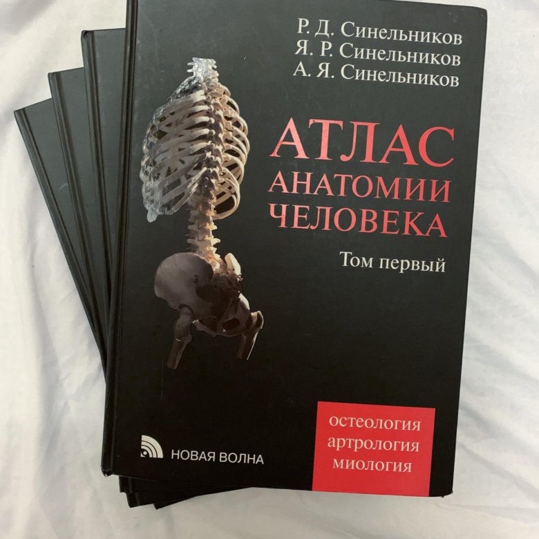 Первый атлас анатомии. Атлас анатомии человека. Синельников . Тома 1-3. Атлас анатомии человека Синельников 1 том. Атлас анатомии человека Синельников. Синельников атлас анатомии человека 3 том.