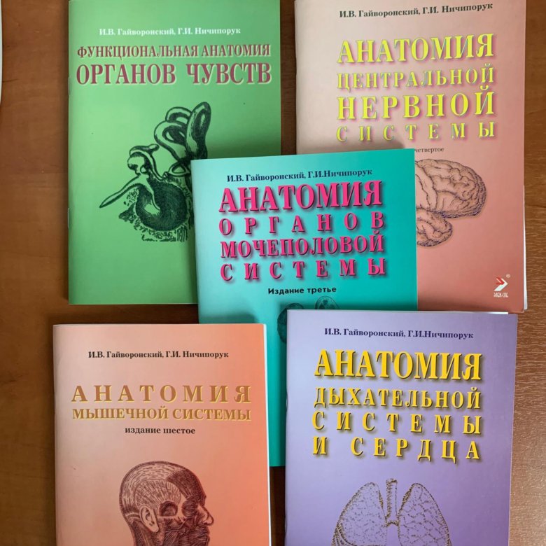 Гайворонский учебник. Гайворонский анатомия методички. Гайворонский Ничипорук анатомия. Анатомия и физиология человека Гайворонский.