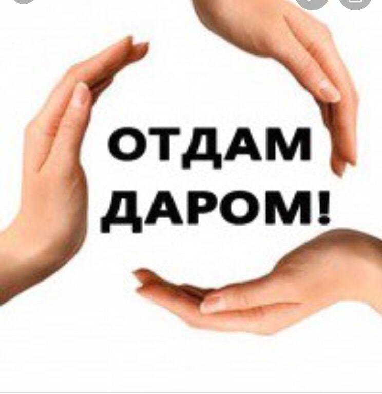 В д чистые сердца отдам даром