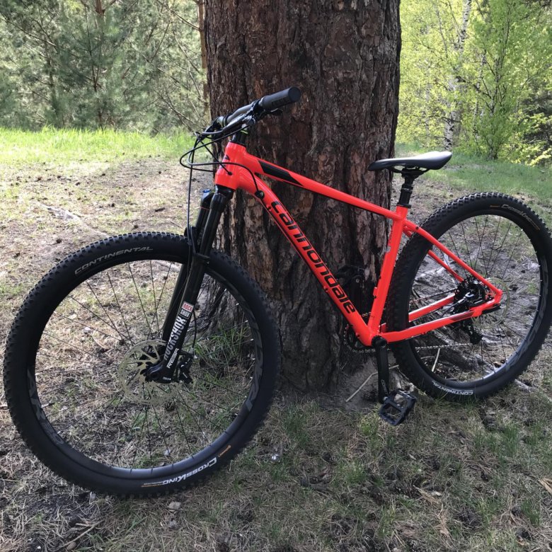 cannondale trail 3 29