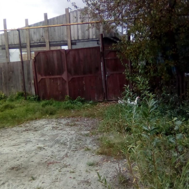 частные объявления ялуторовска