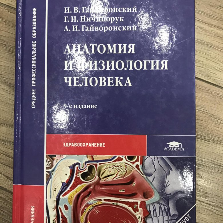 Гайворонский учебник. Гайворонский Ничипорук анатомия человека. Анатомия и физиология человека Гайворонский. Книга Гайворонский анатомия. Анатомия и физиология человека учебник.