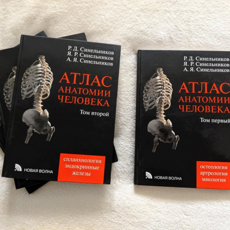 Атлас анатомии синельников 4 том. Атлас анатомии человека р.д Синельникова в 4 томах. Атлас анатомии Синельников 2 том. Анатомический атлас Синельникова. Синельников атлас.