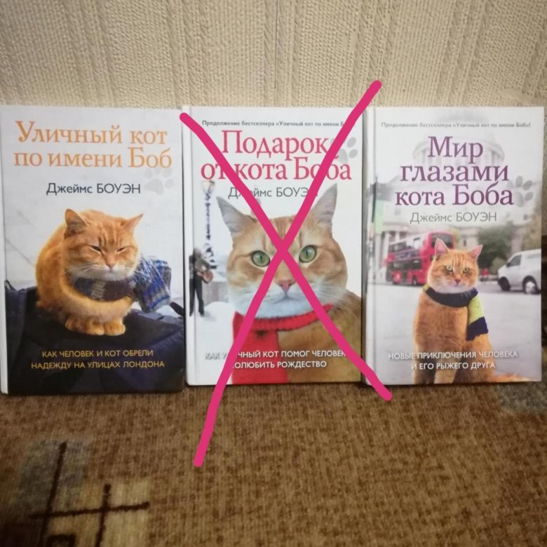 Кот боб книга. Все книги про кота Боба. Кот по имени Боб книга. Уличный кот по имени Боб книга. Уличный кот по кличке Боб книга.