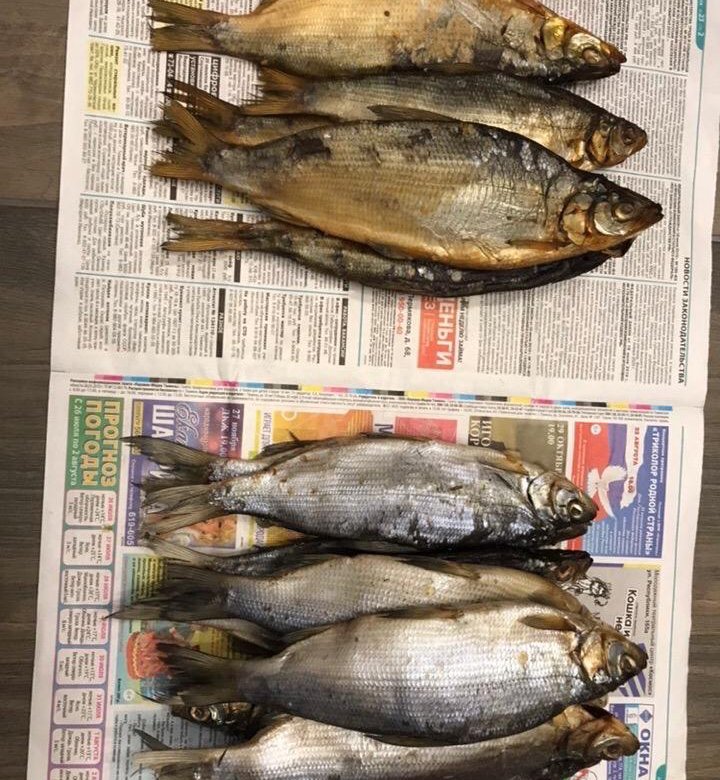 Рыба Сырок Фото Цена