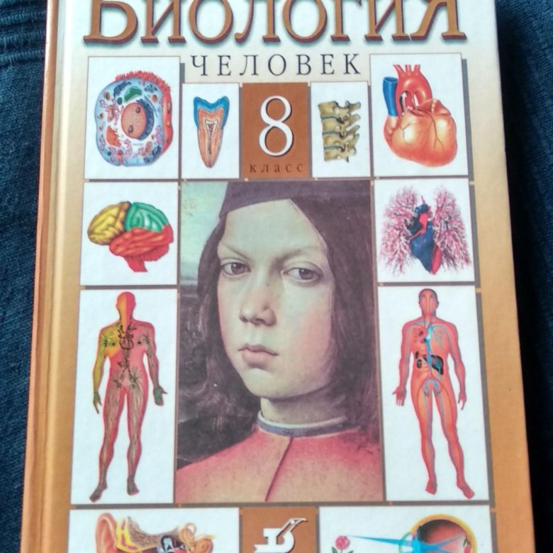 Биология 8 класс маш. Учебник по биологии 8 класс. Авторы учебников по биологии 8 класс. Учебник по биологии 8 класс новый. Биология 8 класс 2001 год.