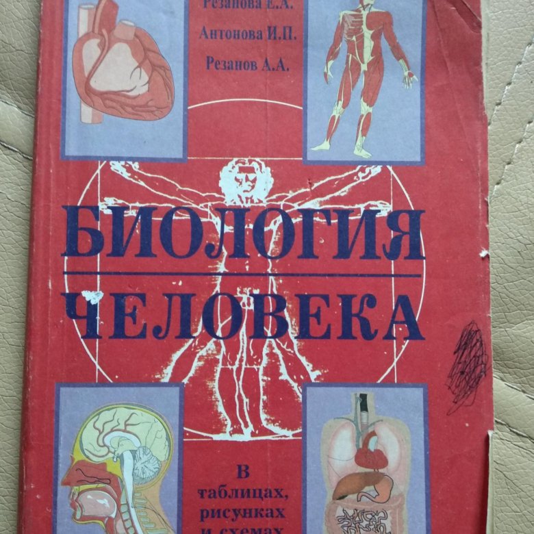 Биология человека в таблицах рисунках и схемах резанова