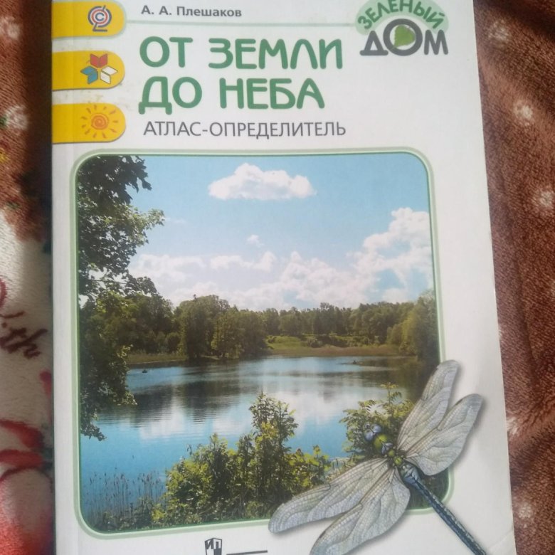 Дом плешакова. Зеленый дом Плешаков. «Зеленый дом» а.а. Плешакова..