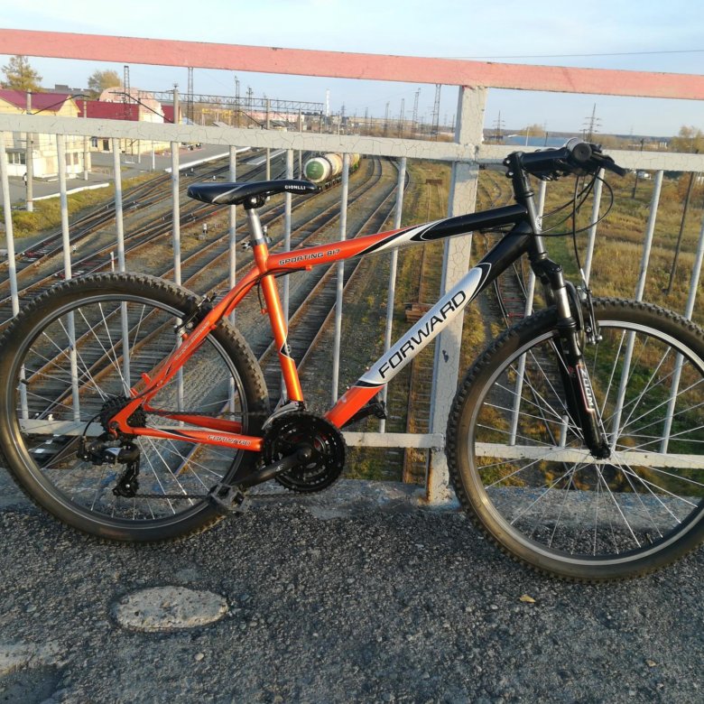 Forward 817. Forward 817. Forward sporting 817. Forward next 887. Forward sporting 104.