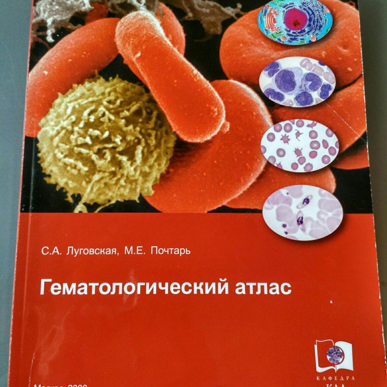 Гематология животных. Гематологический атлас луговская. Морфологическая диагностика. Атлас по гематологии луговская. Гематологический атлас луговская.