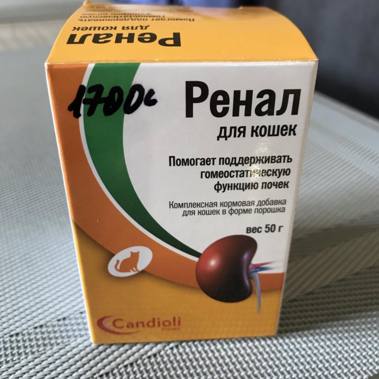 Порошок ренал для кошек