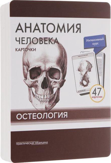 Сделайте анализ терминов по тэ osteologia pathologia. Сапин Остеология карточки. Остеология анатомия человека. Карточки по остеологии. Карточки по анатомии.