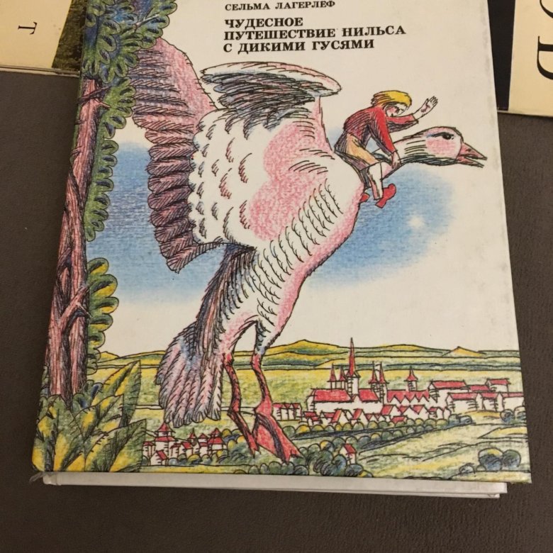 Читать чудесное путешествие с дикими гусями