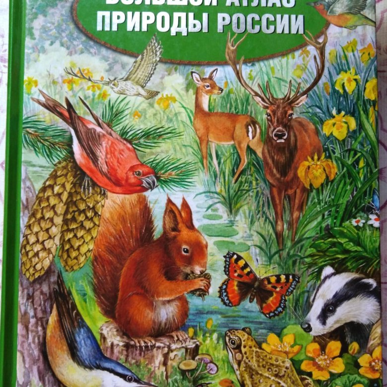 Атлас природы животные. Большой атлас России.