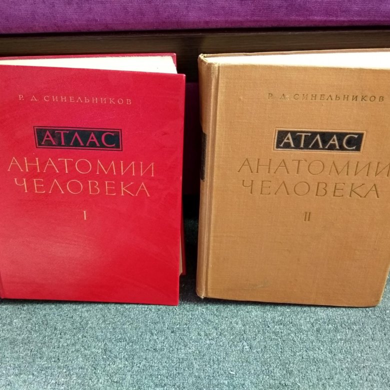 Атлас синельникова анатомия 2 том. Синельников атлас. Атлас Синельникова 1 том. Атлас Синельникова анатомия 1 том. Атлас Синельникова старое издание.