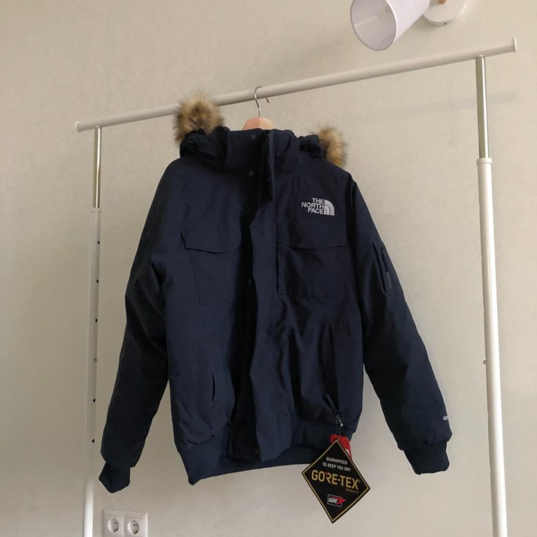 gotham gtx north face