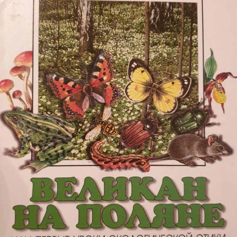 Великан на поляне окружающий мир 2. Великан на Поляне 3. Плешаков великан на Поляне 3 класс. Великан на Поляне страница 4. Великан на Поляне 3 класс окружающий мир.