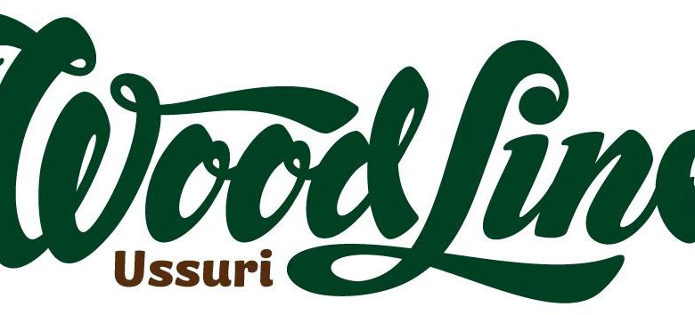 Лайн вуд. Текстура дерева рисунок. Ламинат falquon 1220. Вуд пятигорск. Графическая текстура дерева.