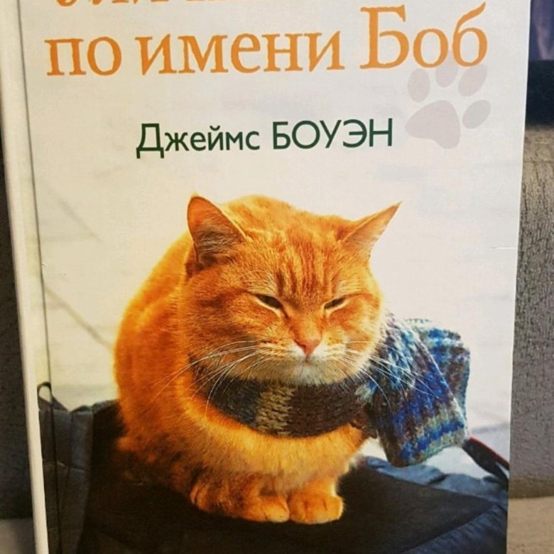 Уличный кот боб