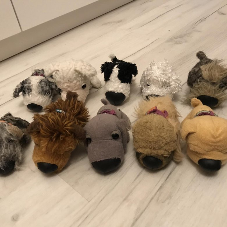 Коллекция собак the dog. Игрушки the dog collection. Игрушки зе дог коллекшн. Игрушки the dog collection. Игрушка собака с большой головой.