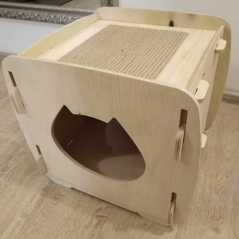 Котодом дзен — ImgHub.ru