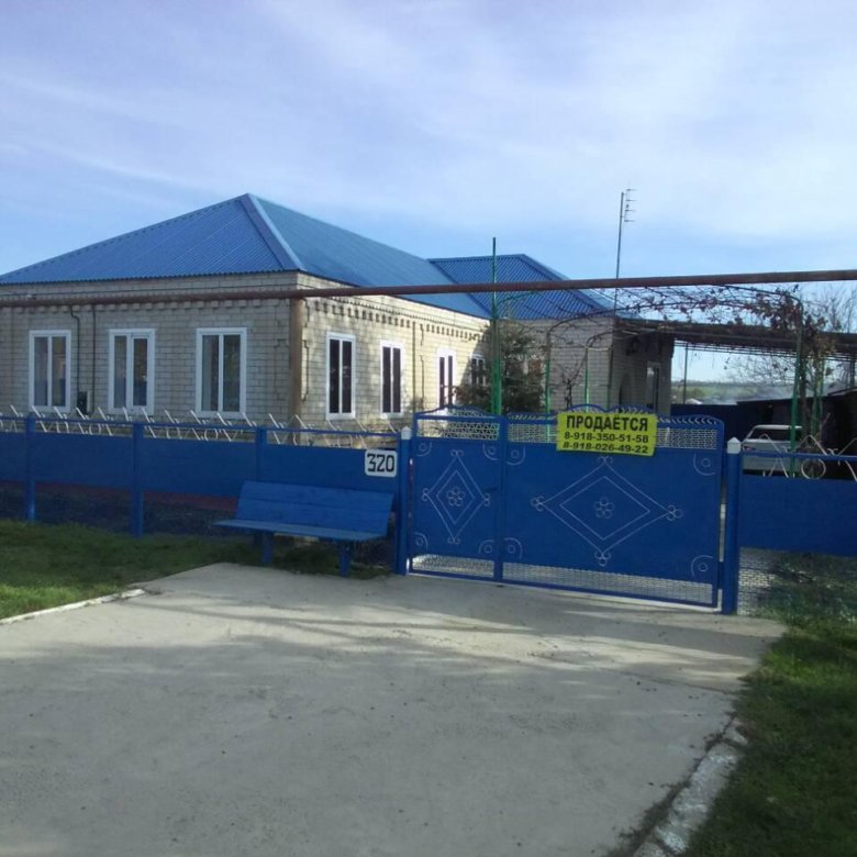 Краснодарский край кавказский район станица дмитриевская фото