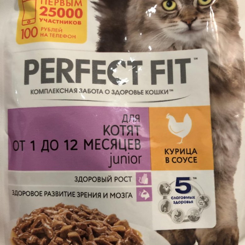 Корма для котят 2 месяца. Сухой корм для котят. Royal canin для короткошерстных британцев. Лучший корм для котят 2 месяца. Royal canin паштет для котят.