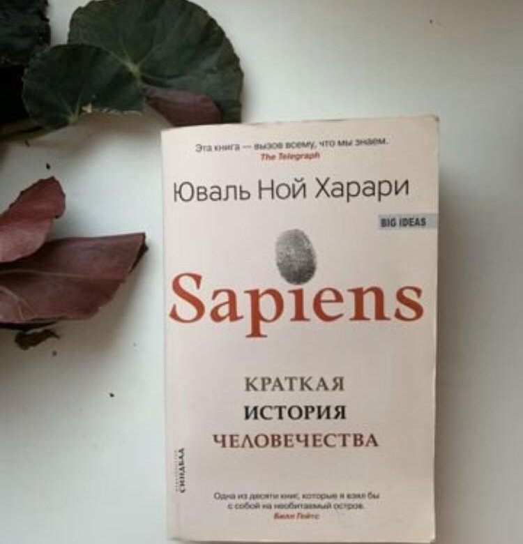 Сапиенс книга слушать. Sapiens краткая история человечества. Сапиенс книга. Homo sapiens книга. Книга история человечества сапиенс.