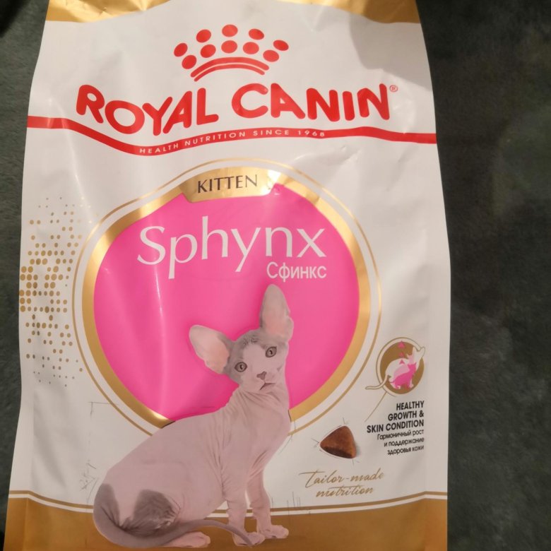 Корм проплан для сфинксов. Лучший корм для котенка сфинкса. Влажный корм для сфинксов. Сухой корм для сфинкса. Корм для сфинксов котят.