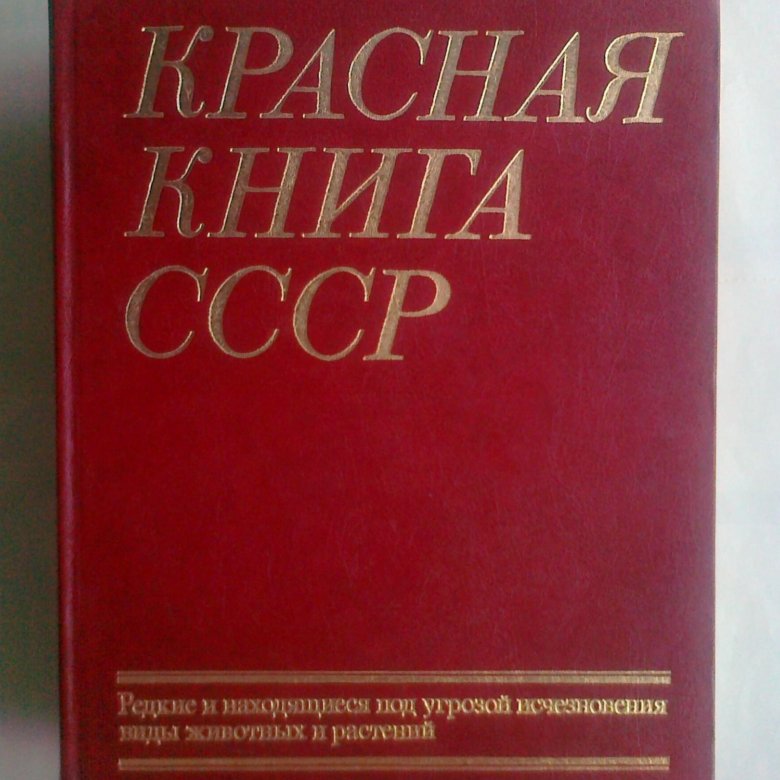 Красная книга 2024 года