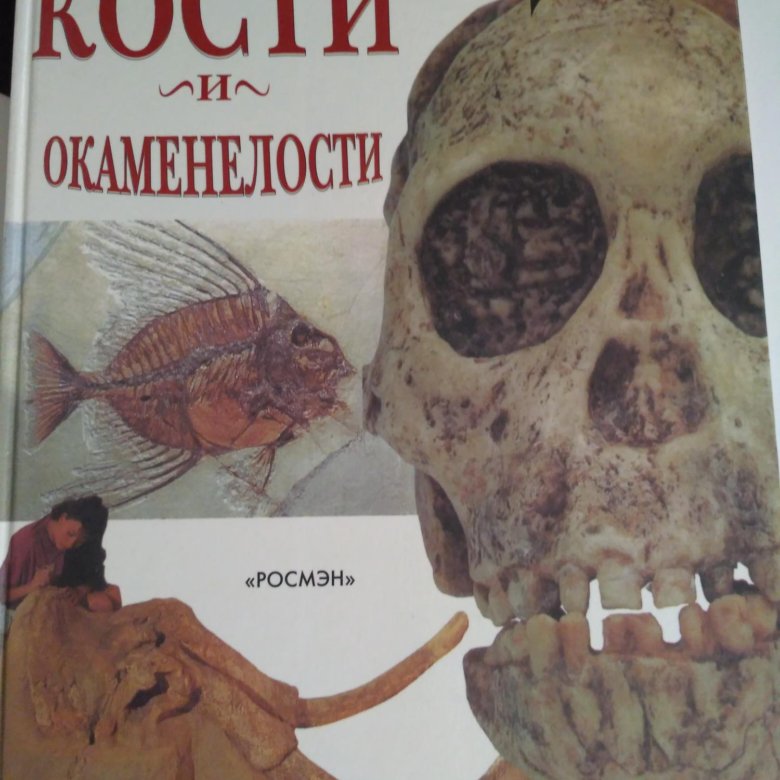 Тайны загадки земли. Кости и окаменелости книга. Кости и окаменелости | Пиротта Сейвиор. Кости земли книга. Книга с костью.