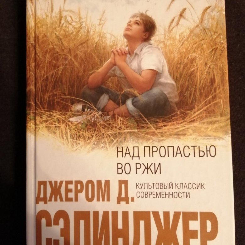 Во пропасти во ржи книга читать. Над пропастью во ржи. Над пропастью во ржи книга. Над пропастью во ржи обложка. Над пропастью во ржи картинки.