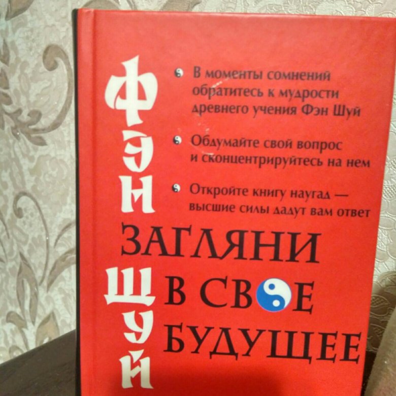 Медорфенов книга 5 читать. Фэн шуй Загляни в свое будущее. Фен шуй книга Загляни в будущее. Книга Загляни в свое будущее. Книга загление в свое будущее фэн шуй.