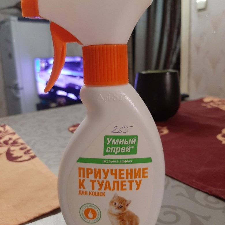 Приучение к туалету