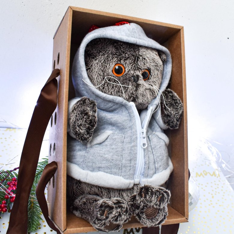 басик в толстовке дракончик