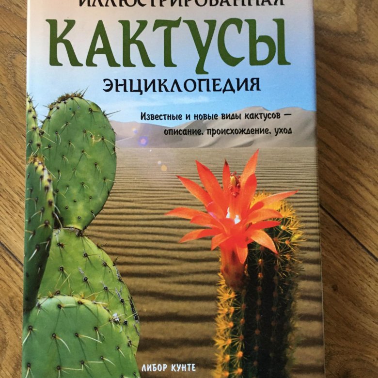 Большая книга про кактусы. Семена кактусов и суккулентов. Детские книги о кактусах. Книги про кактусы. Книга про кактусы.