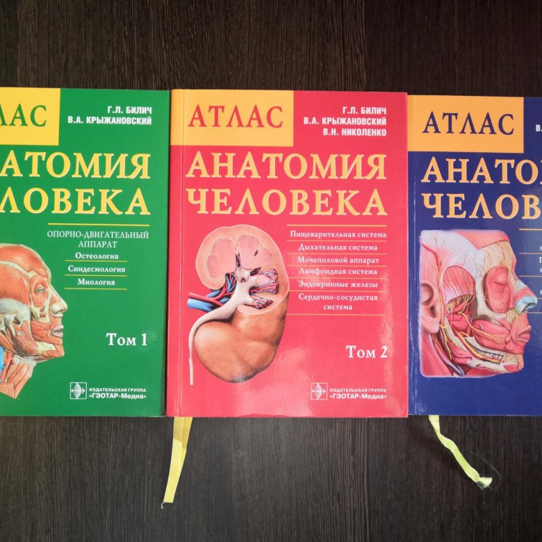 Атлас анатомии крыжановский. Атлас Билич Крыжановский том 1. Билич атлас анатомии человека. Атлас Билич Крыжановский. Атлас анатомия Билич Крыжановский 1 том.